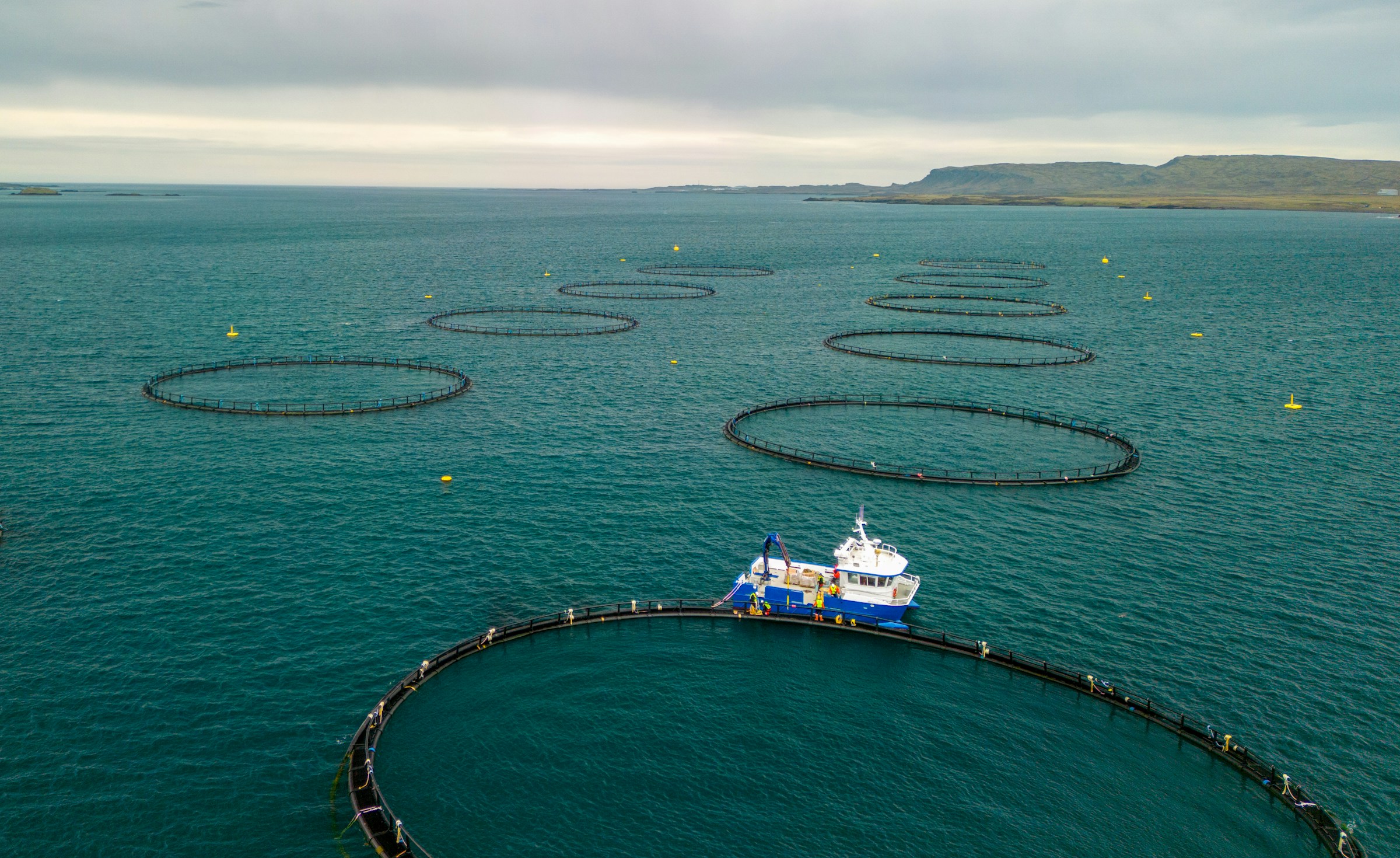 Aquaculture & RAS